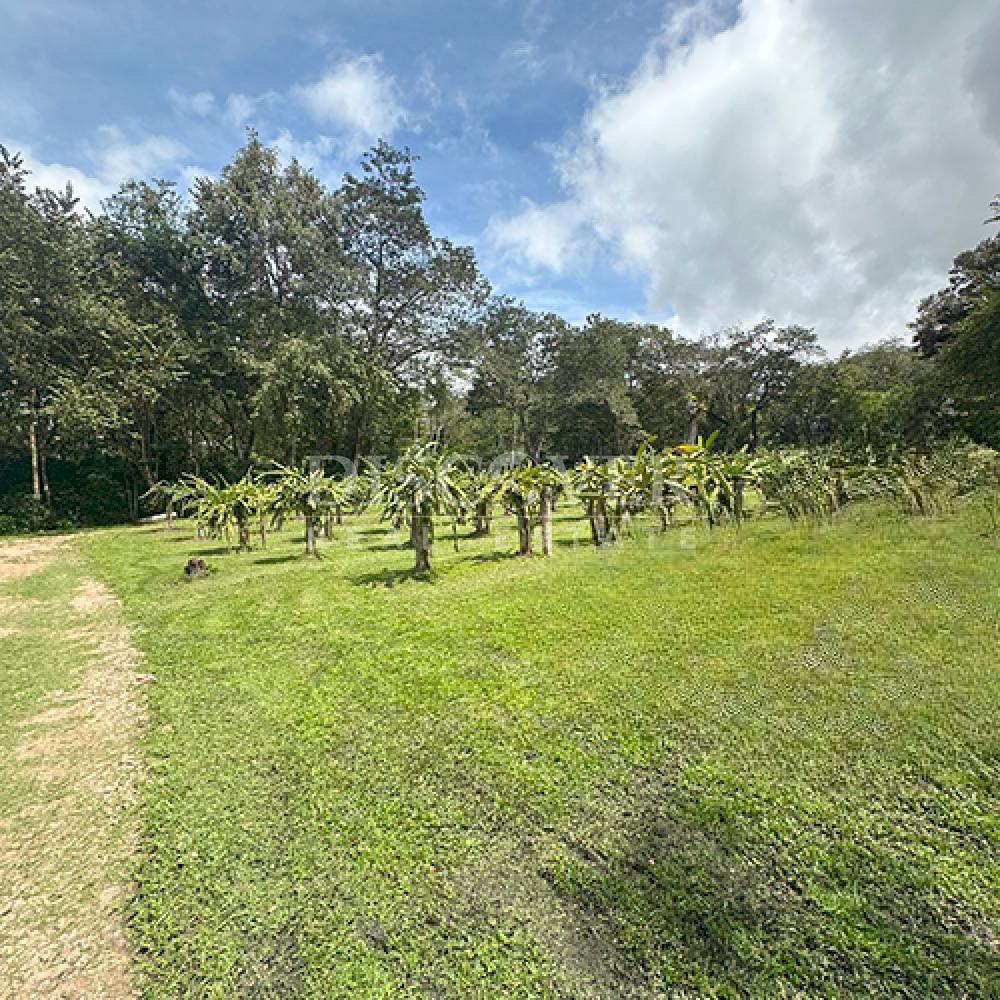  Ecotourism Farm for sale in Boaco 