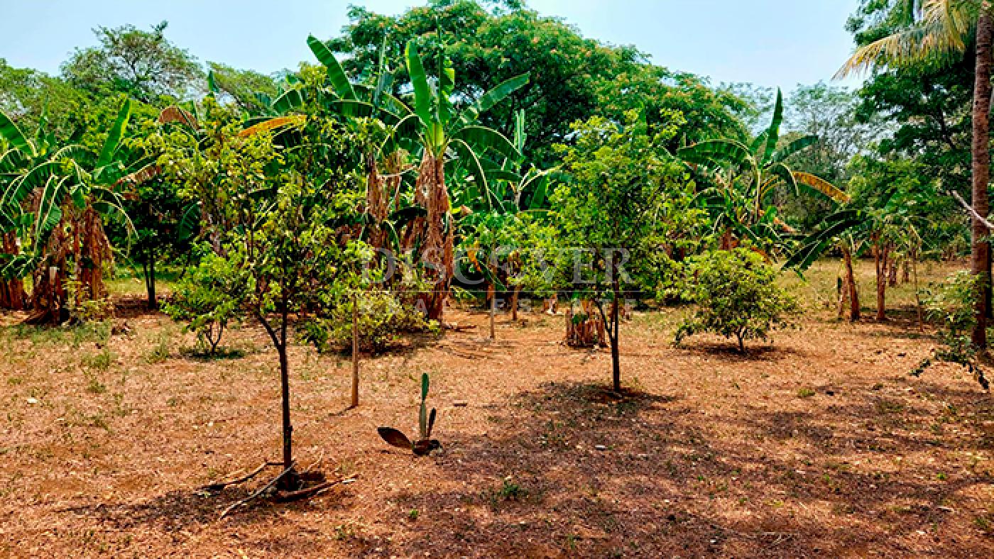 Land in front of Tipitapa highway for sale 