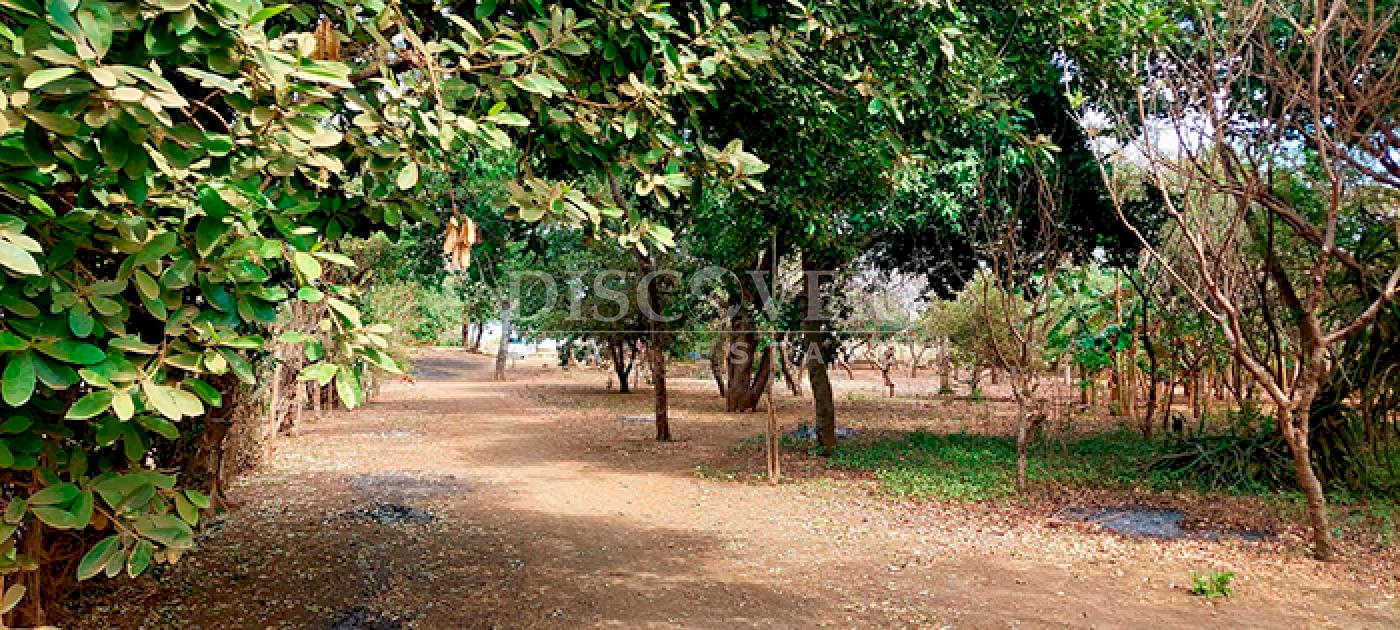 Land in front of Tipitapa highway for sale 