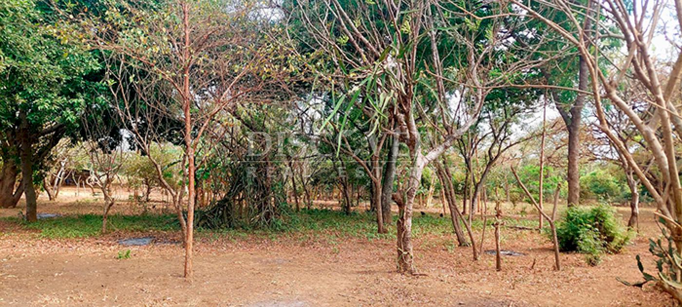 Land in front of Tipitapa highway for sale 