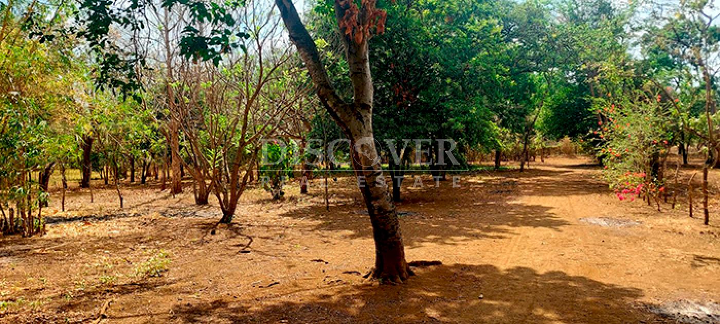 Land in front of Tipitapa highway for sale 