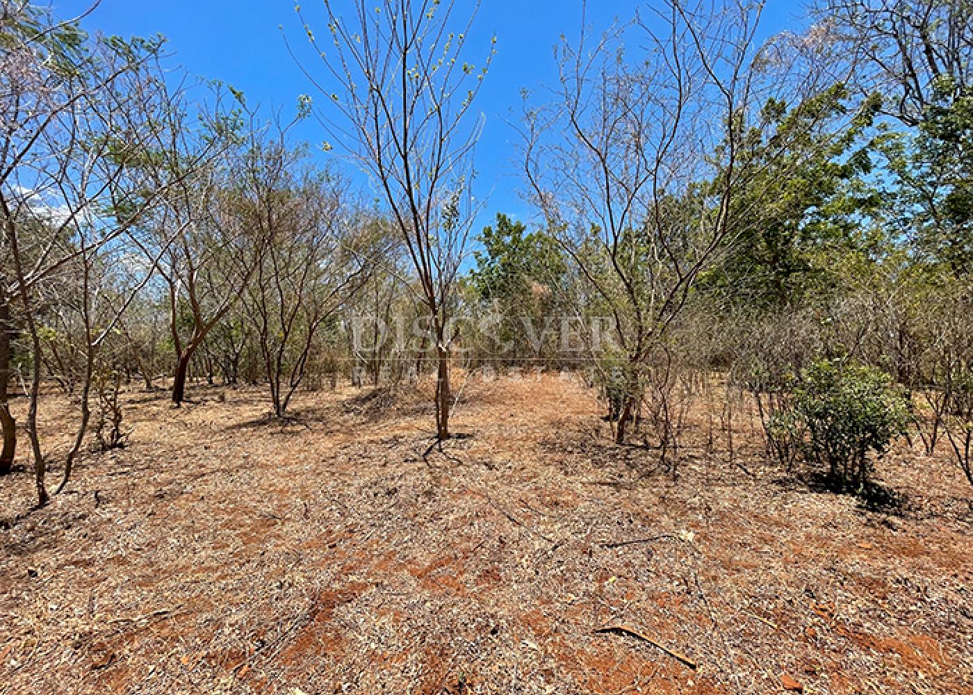  Farm for Sale – 454 Manzanas | Facing the New Costanera Highway