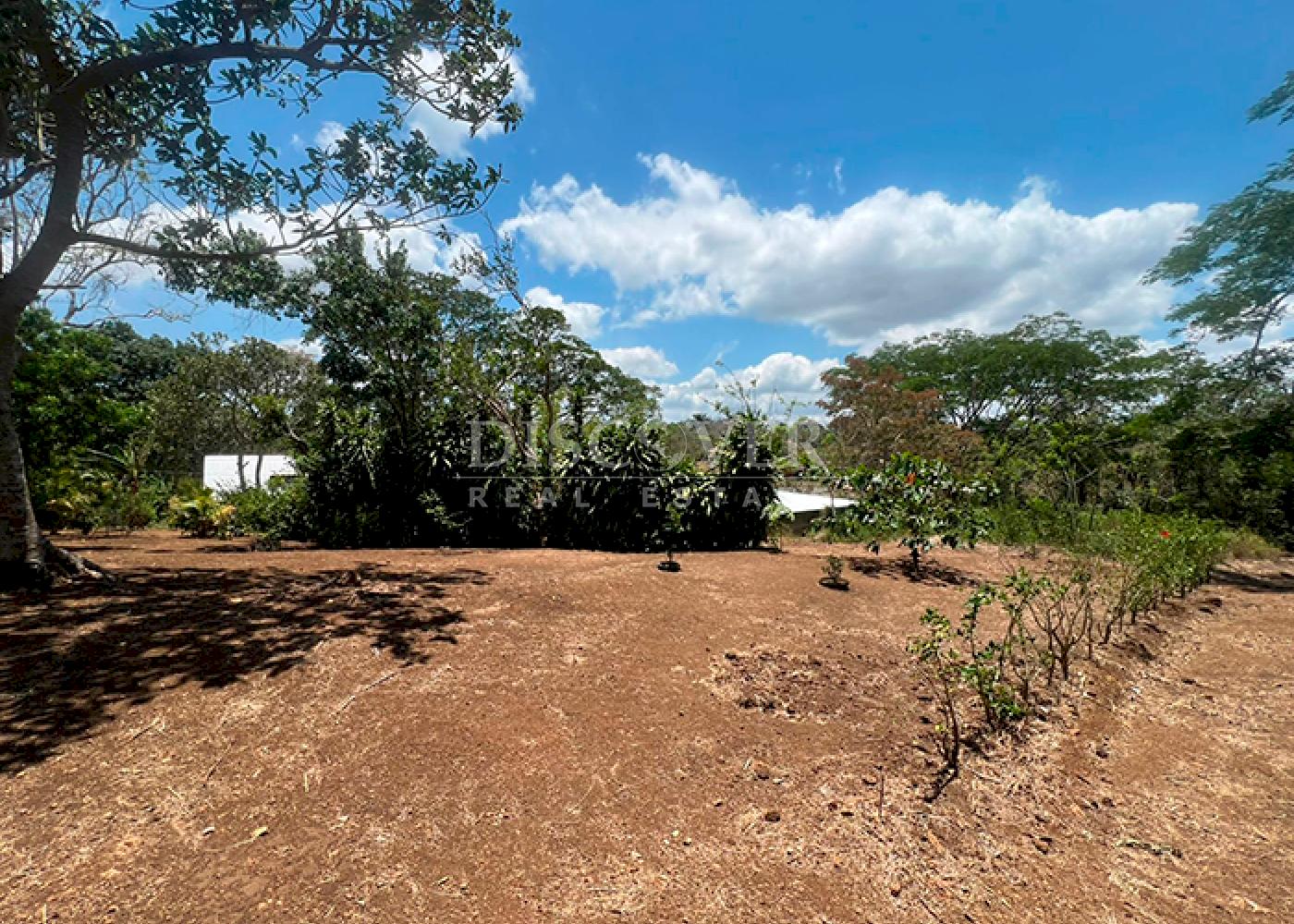 Imagen 1 de la galería