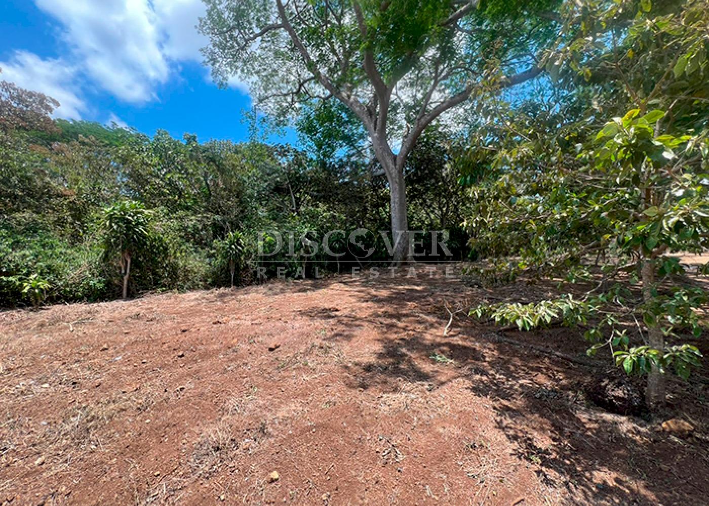 Imagen 3 de la galería