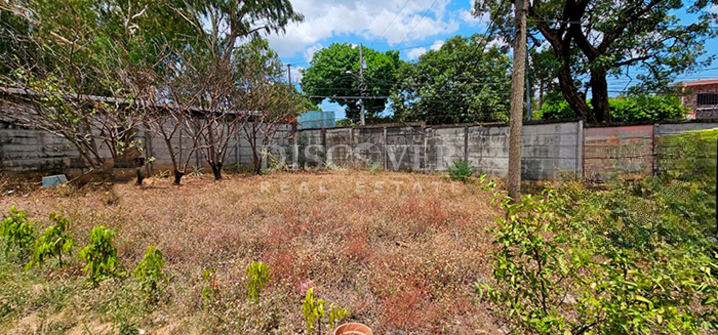  Land for rent in Pista de Enel Central - Managua 