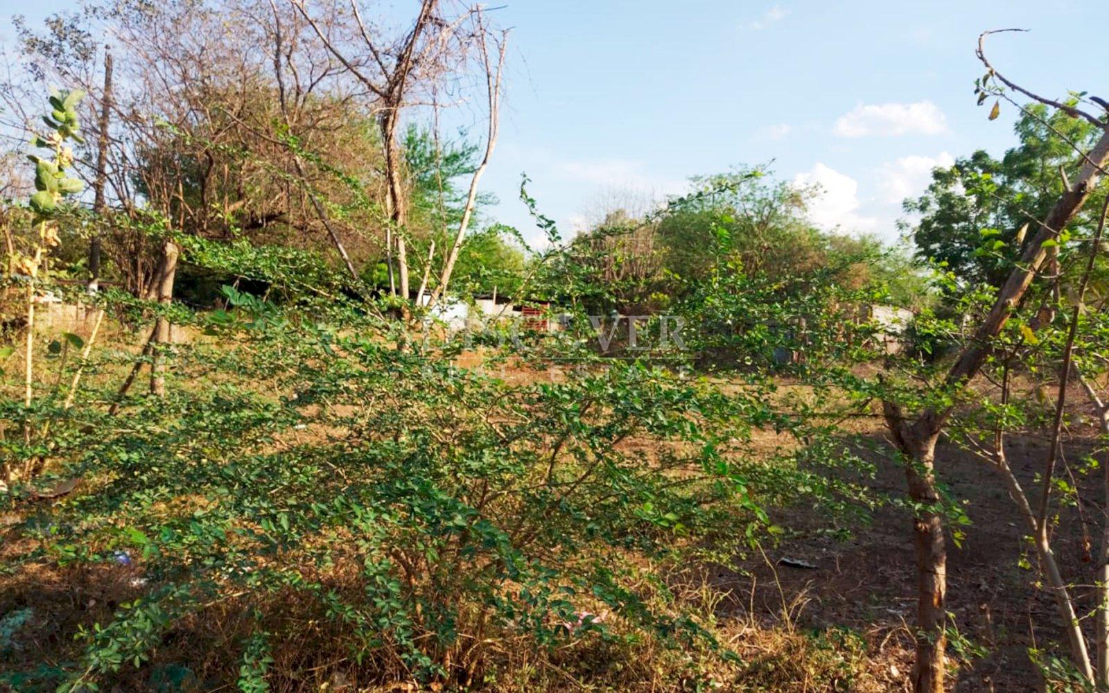  Land for sale in Mateare