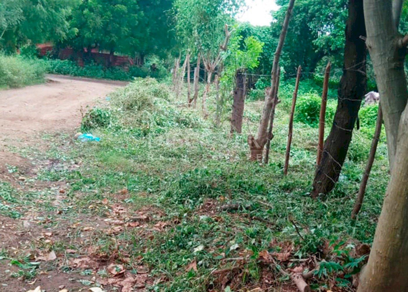  Land for sale in Mateare