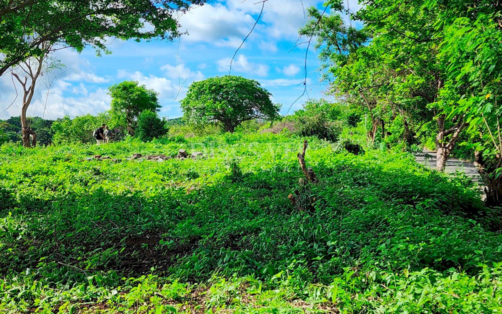  Land for sale with view on Carretera Sur - Unique investment opportunity