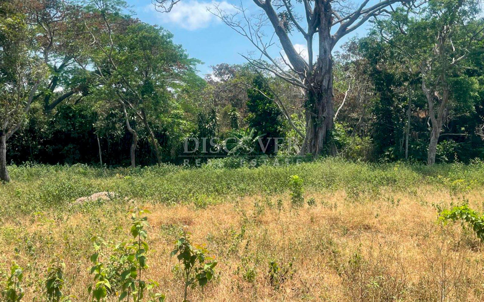  Farm for sale in Diriamba