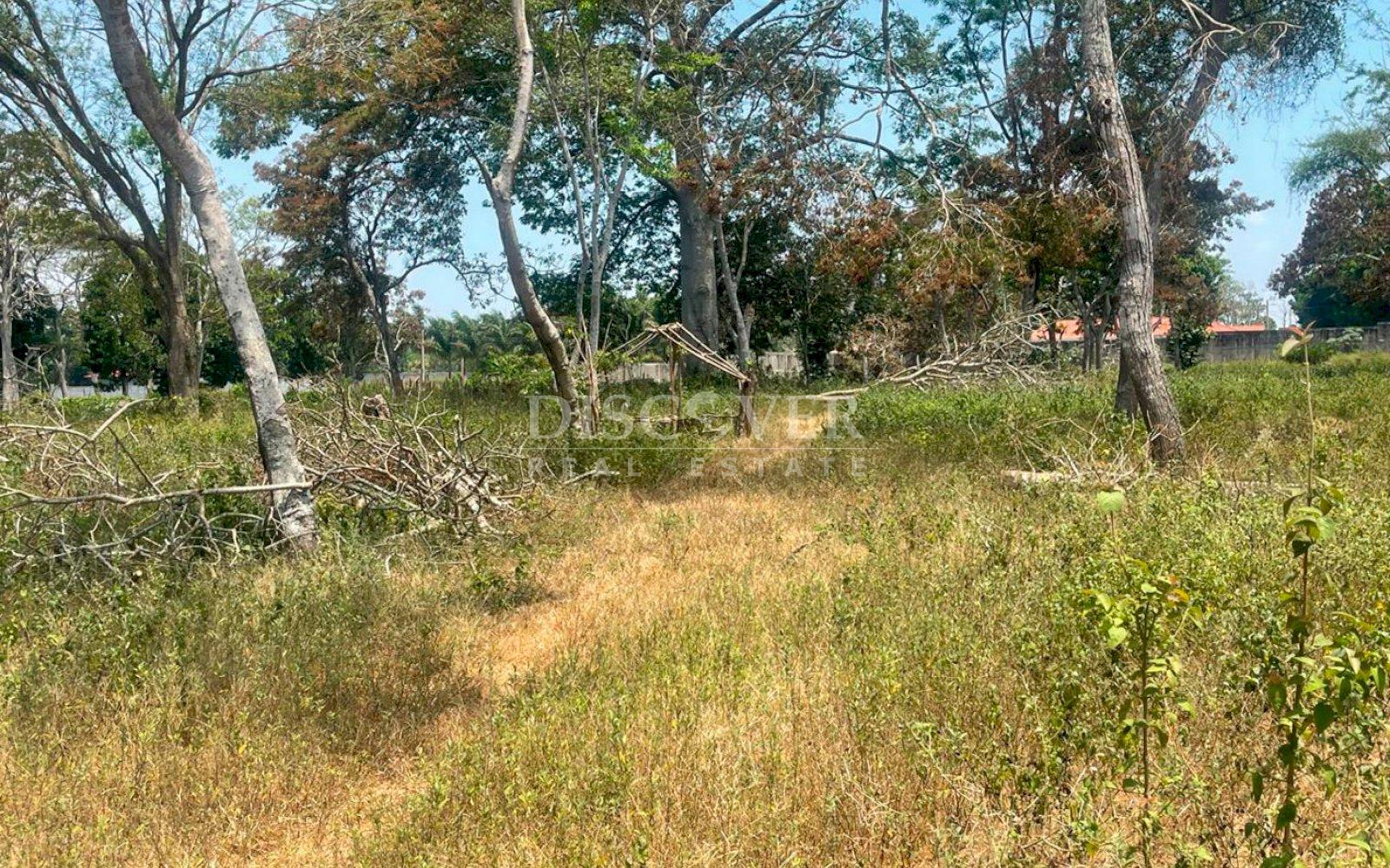  Farm for sale in Diriamba