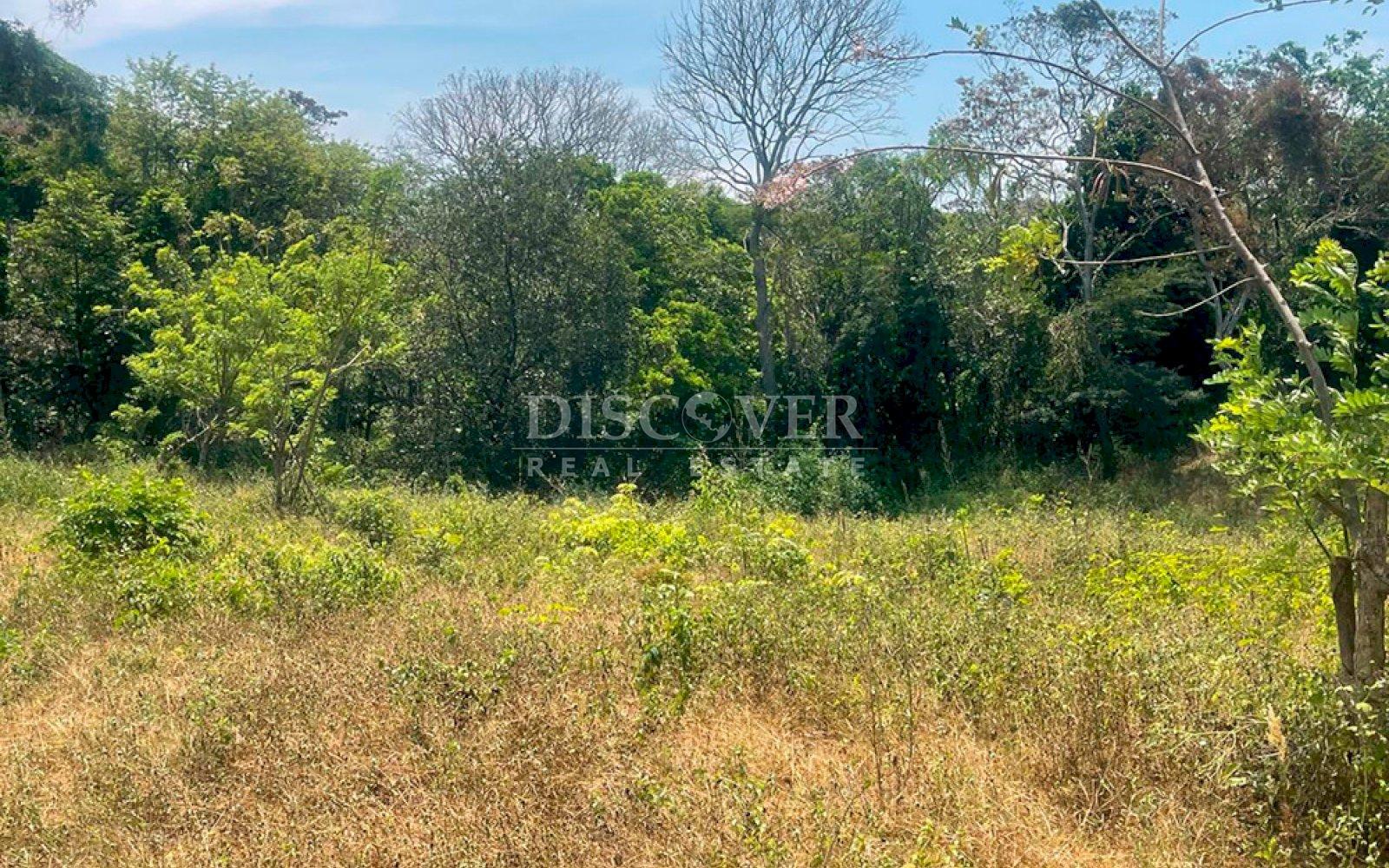  Farm for sale in Diriamba