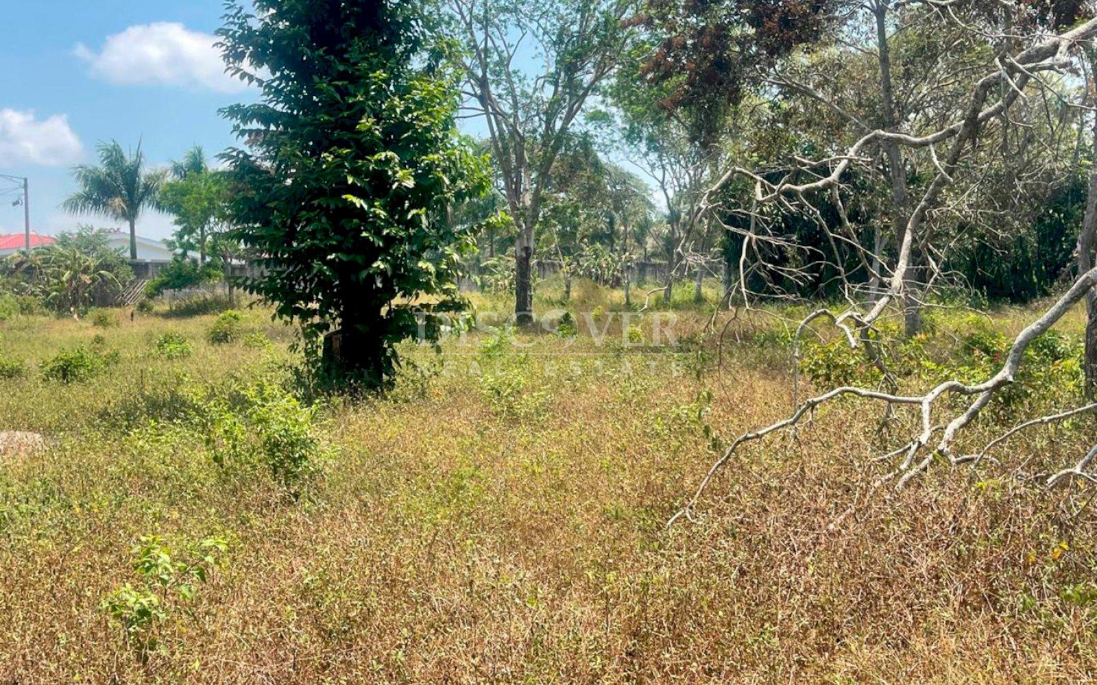  Farm for sale in Diriamba