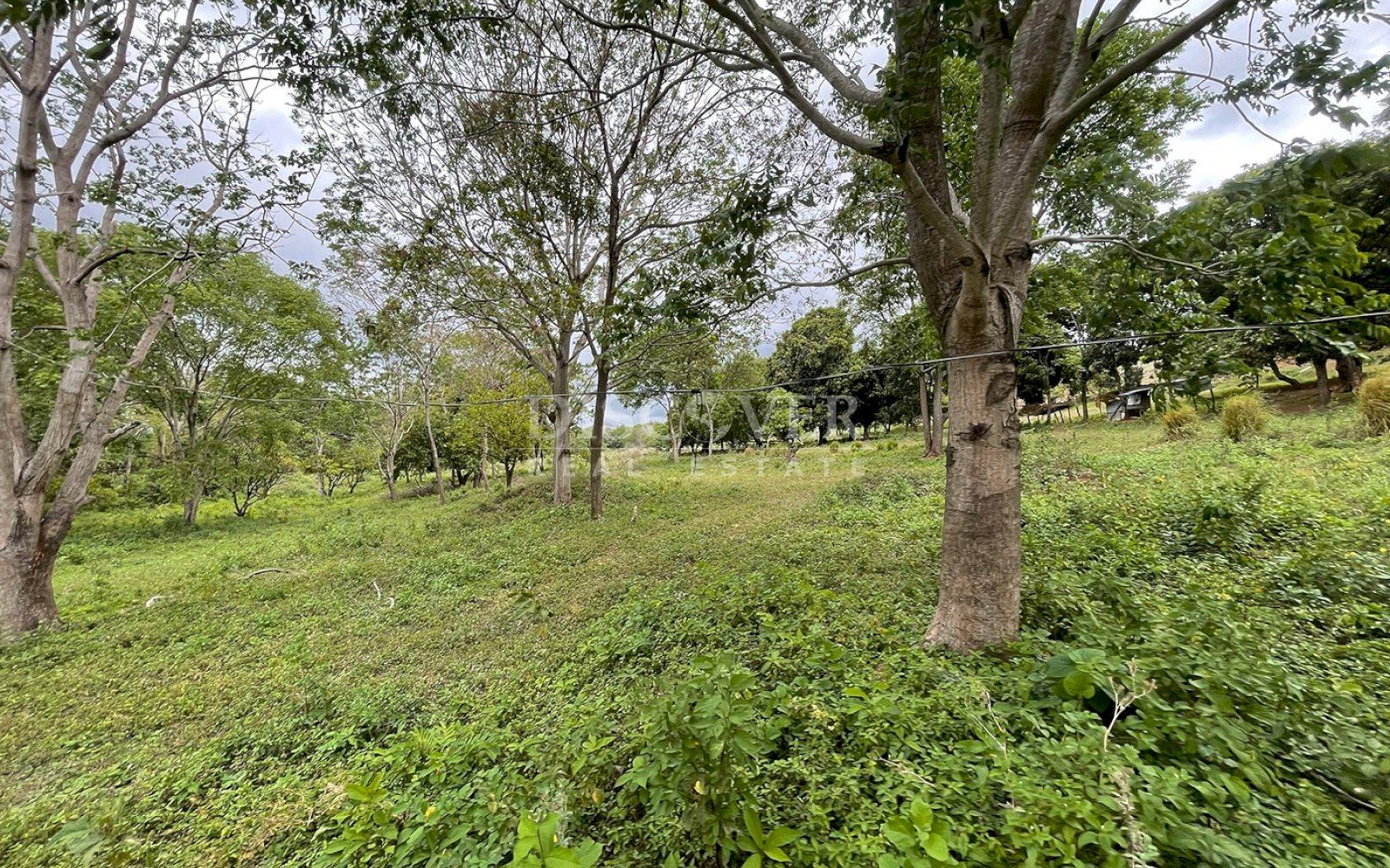 Imagen 3 de la galería