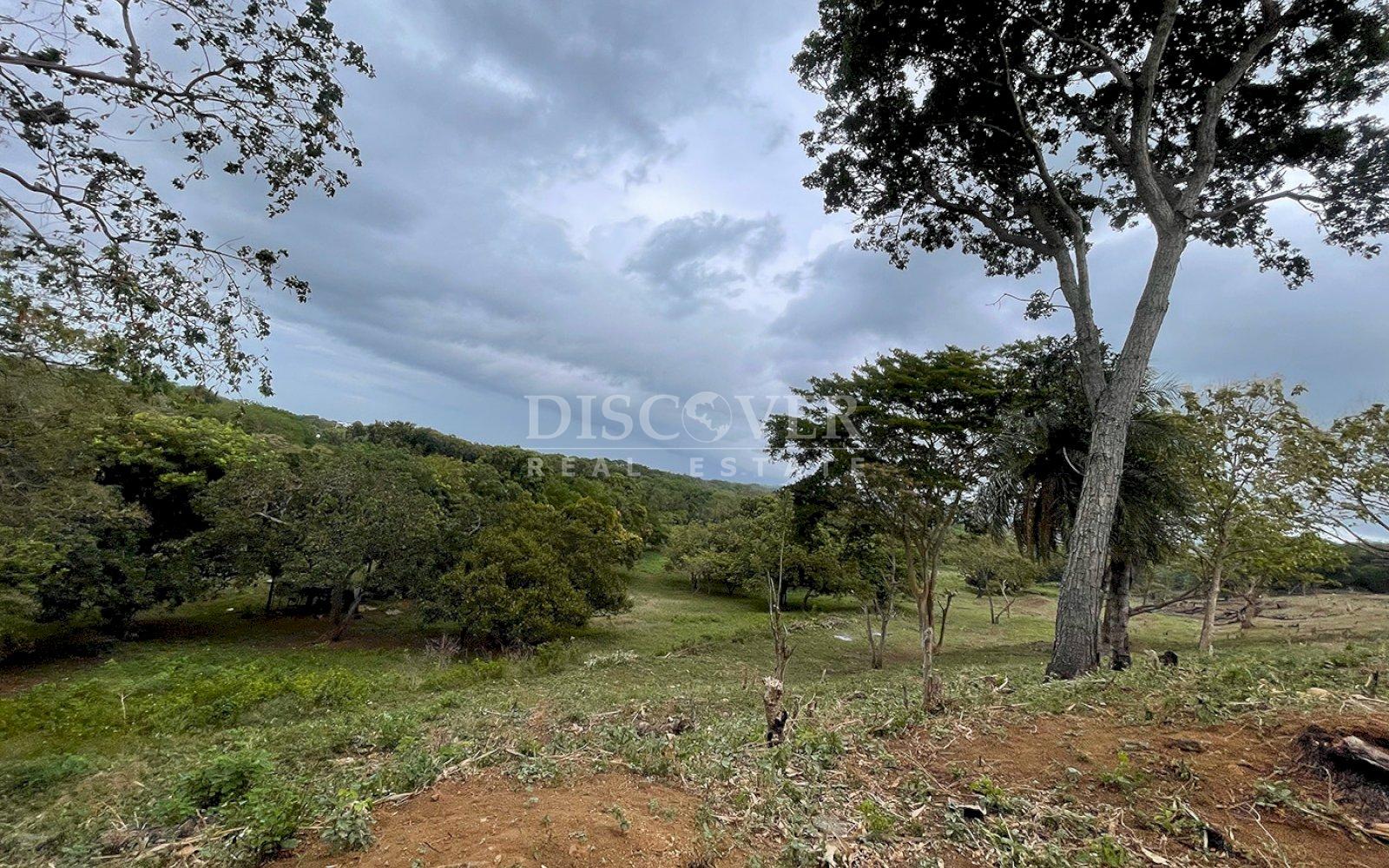 Imagen 5 de la galería