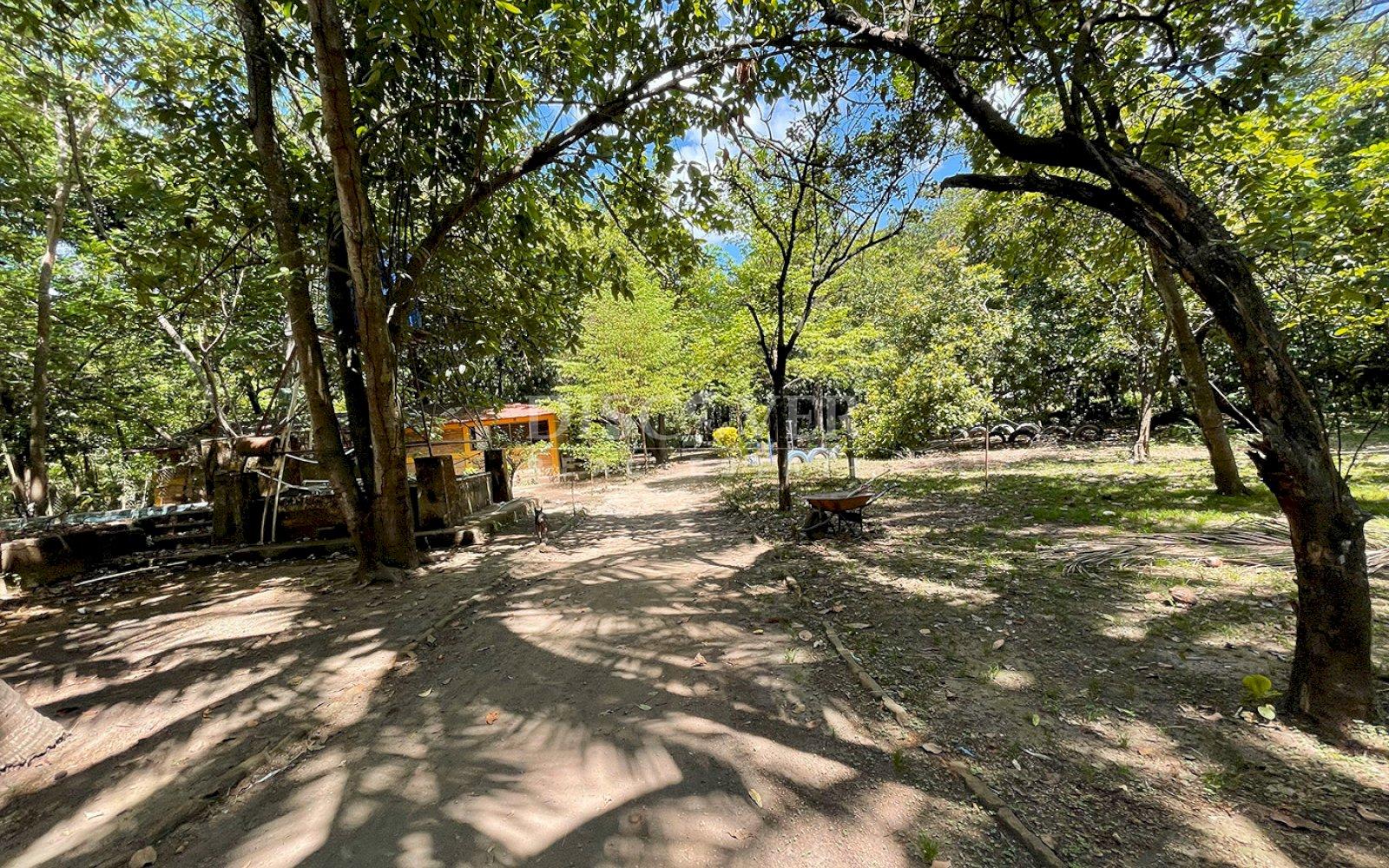 Imagen 3 de la galería