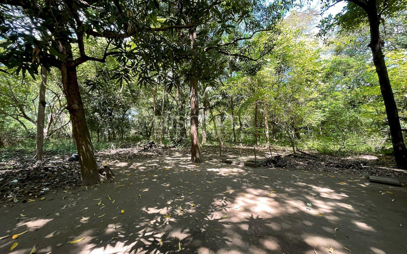 Imagen 4 de la galería