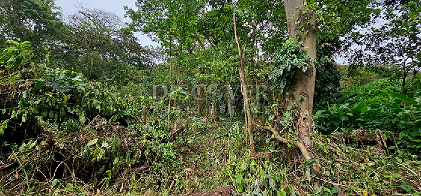 https://images.discovernica.com/propiedad/1600/ID14363.png