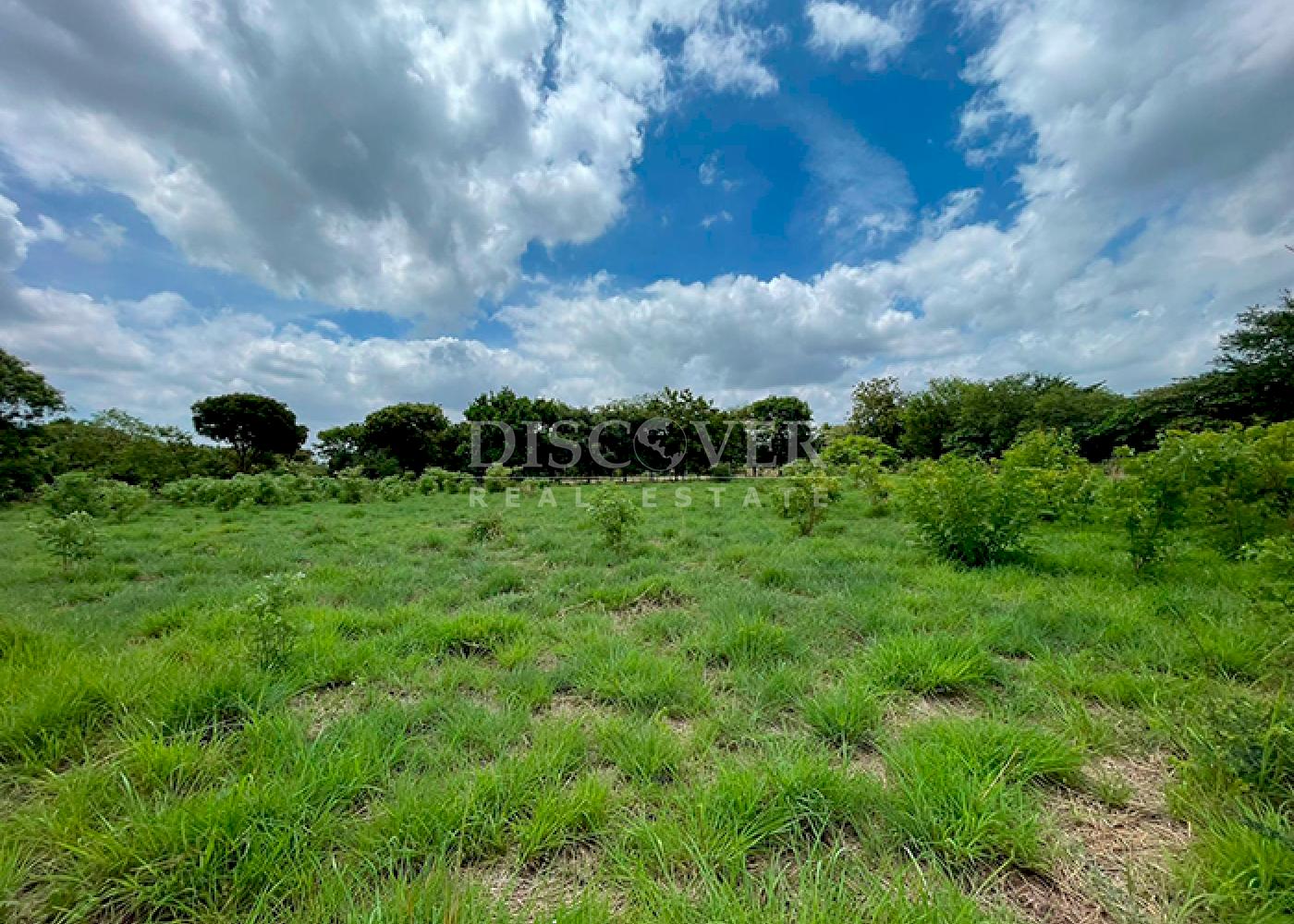 https://images.discovernica.com/propiedad/1600/ID14377_2.png