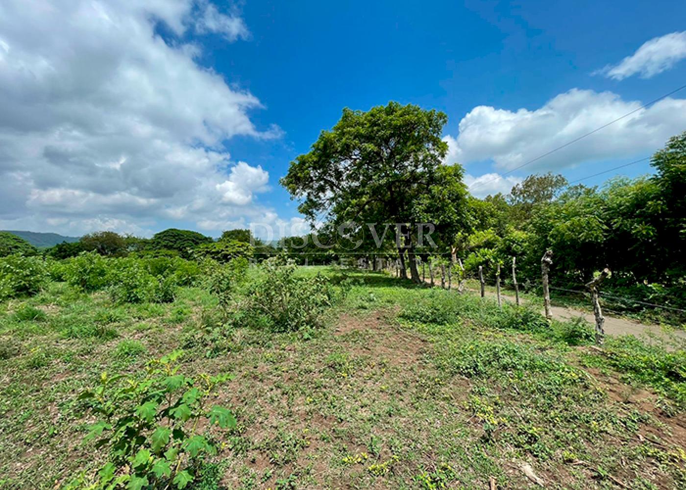 https://images.discovernica.com/propiedad/1600/ID14377_5.png