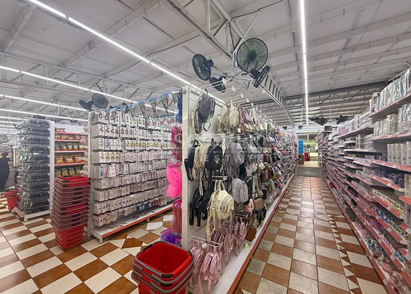  Commercial Building and Module for Sale in Montoya - With Active Tenant!