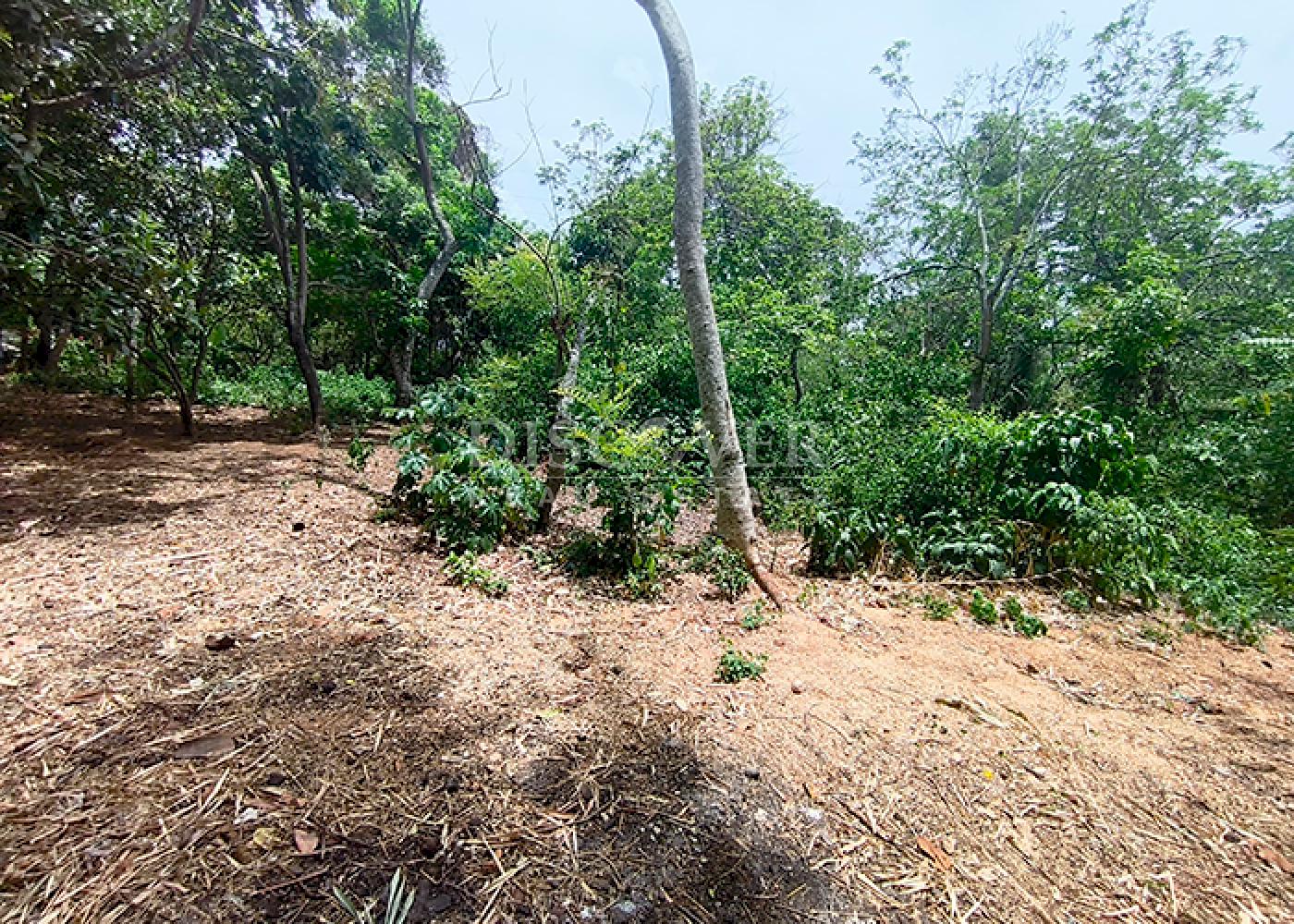https://images.discovernica.com/propiedad/1600/ID14383.png