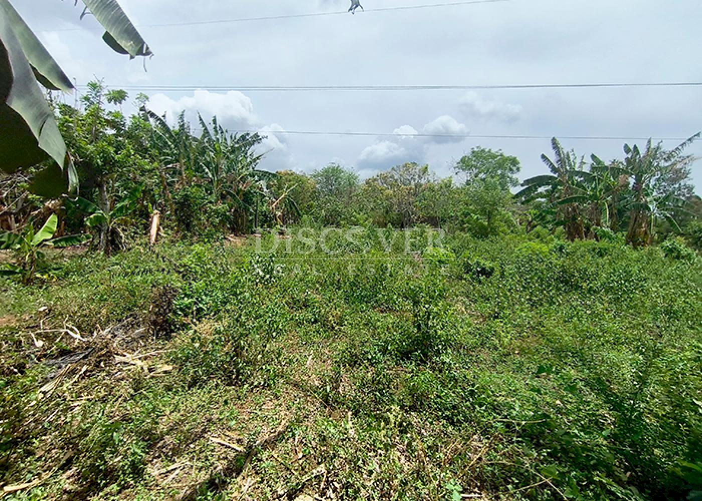 https://images.discovernica.com/propiedad/1600/ID14383_2.png