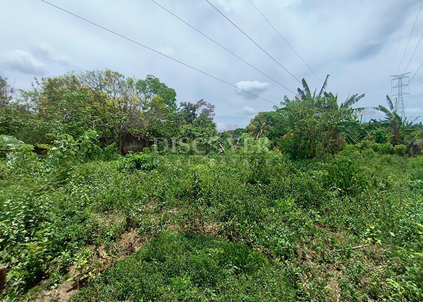 https://images.discovernica.com/propiedad/1600/ID14383_4.png