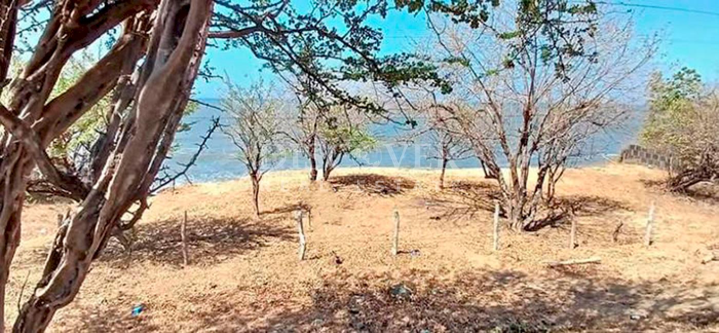  Ocean front lot with ocean view in Casares