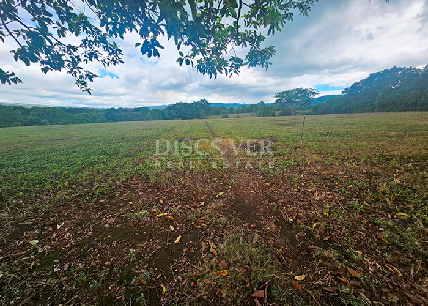  Flat topography land for sale- Ticuantepe