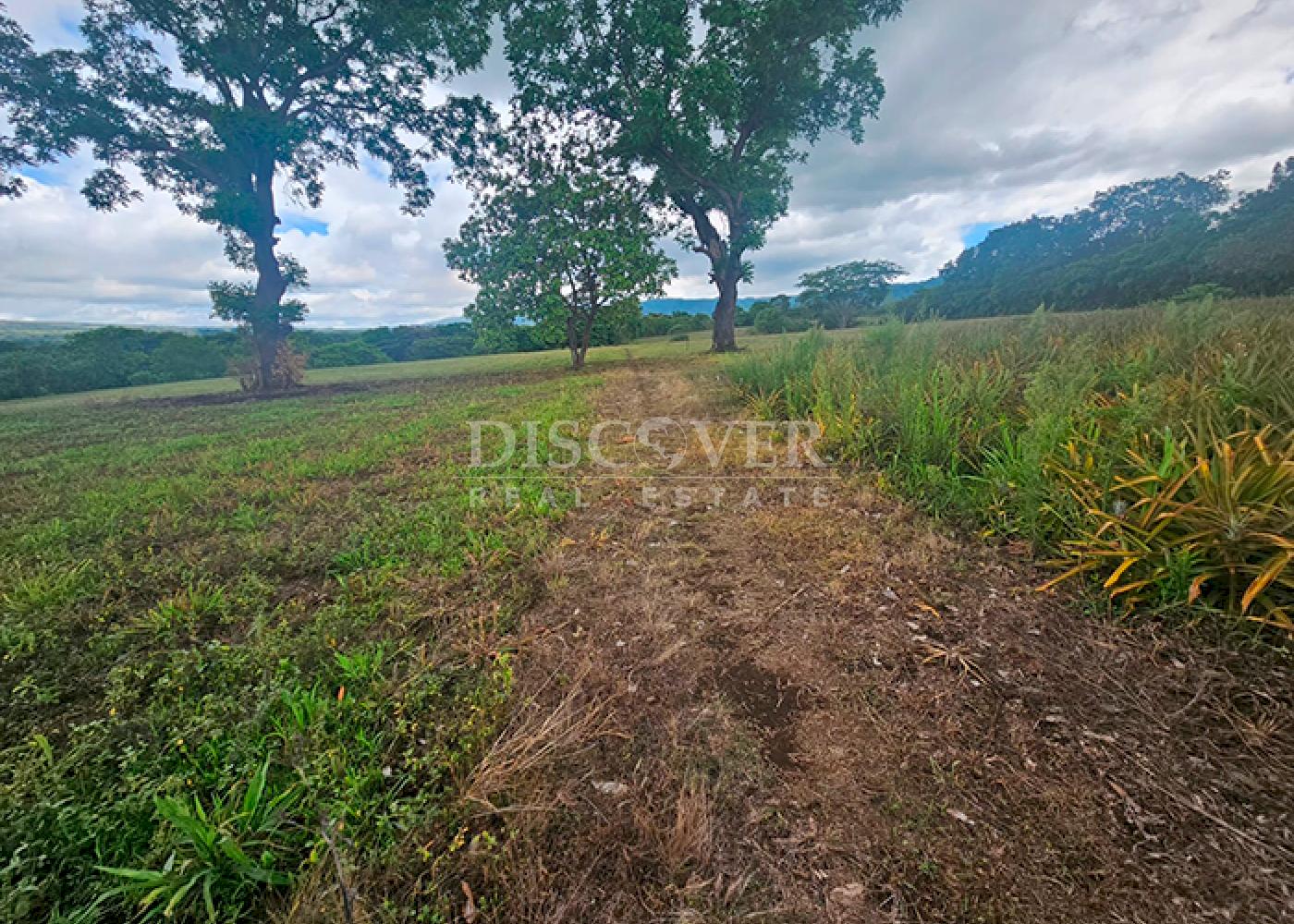  Flat topography land for sale- Ticuantepe