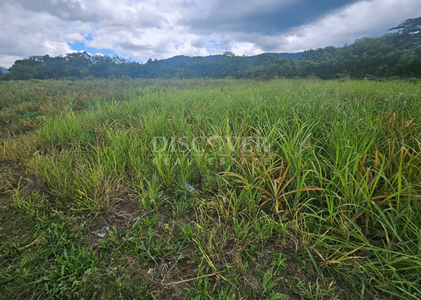  Flat topography land for sale- Ticuantepe