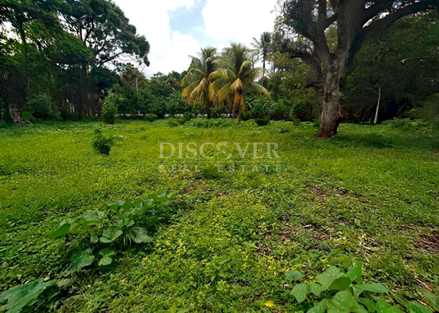  Road front land for sale in Jinotepe