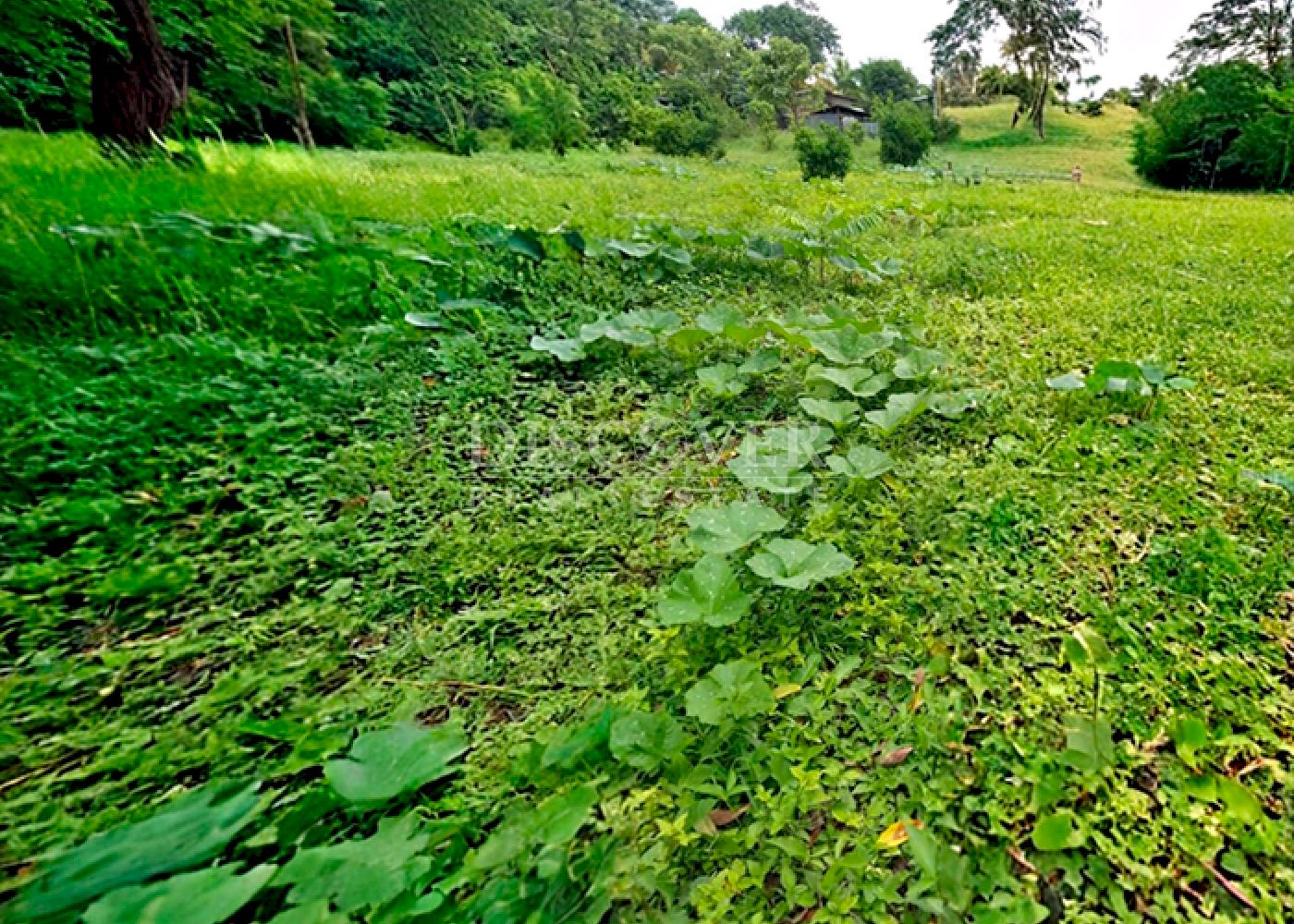  Road front land for sale in Jinotepe