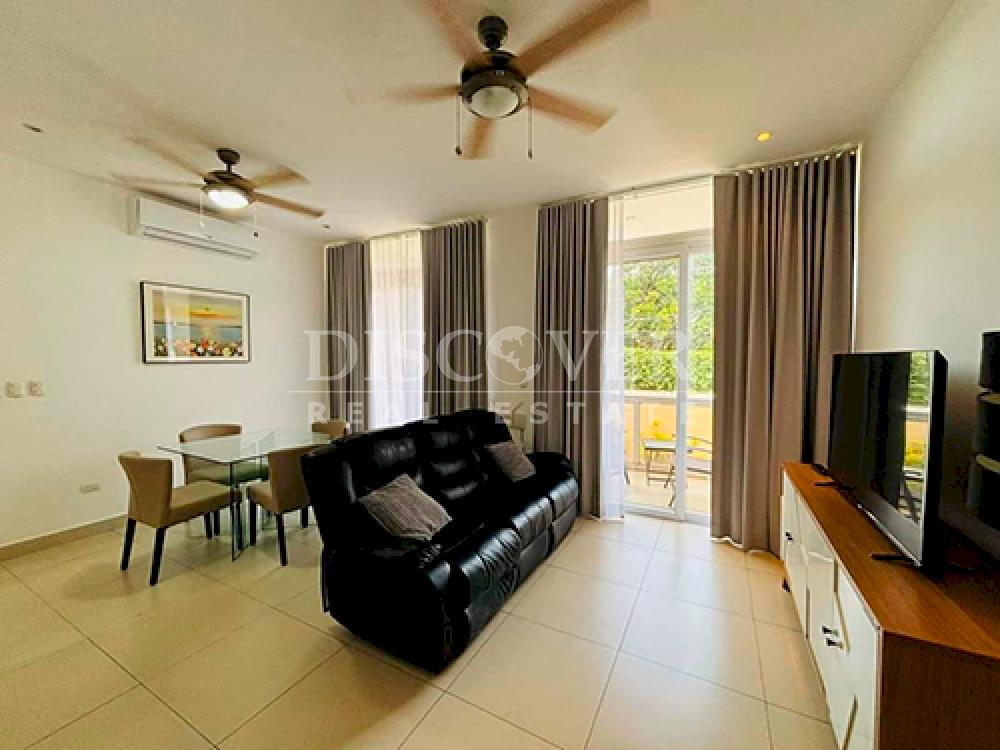  Luxury furnished apartment for rent