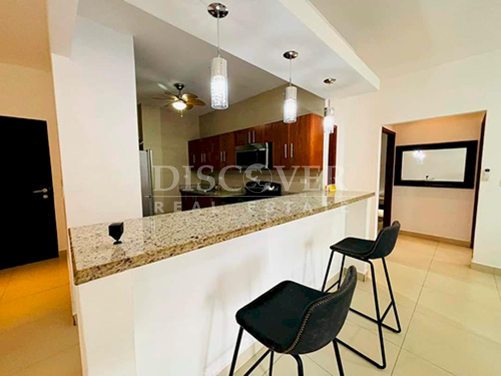  Luxury furnished apartment for rent