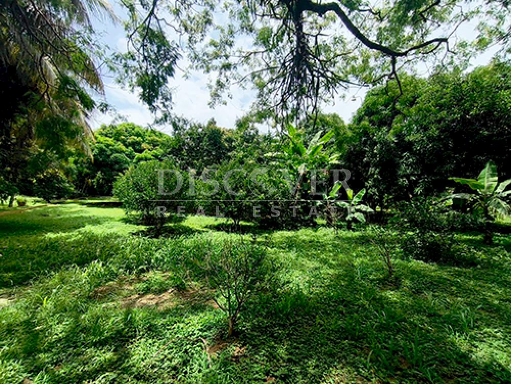  Land for sale/rent in Esquipulas - On main street