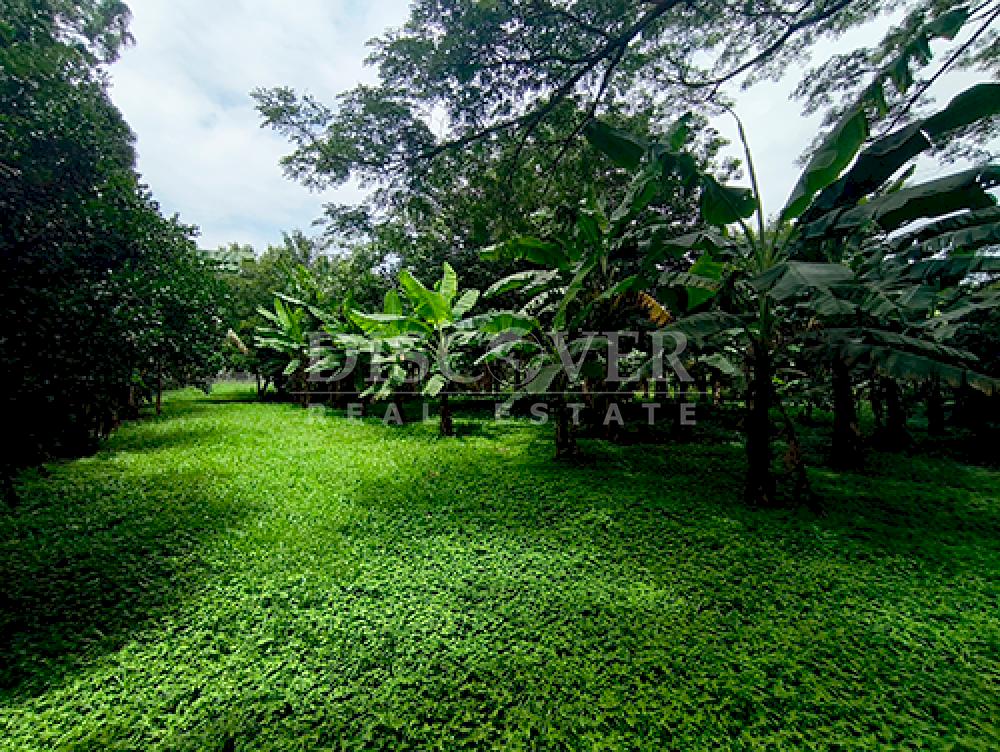  Land for sale/rent in Esquipulas - On main street