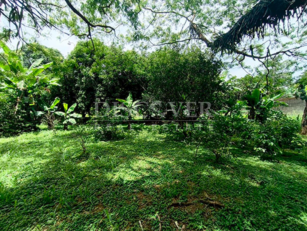  Land for sale/rent in Esquipulas - On main street