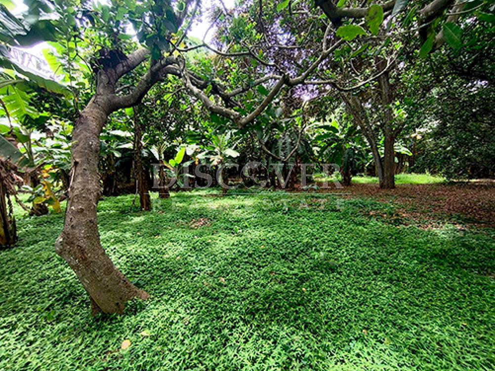  Land for sale/rent in Esquipulas - On main street