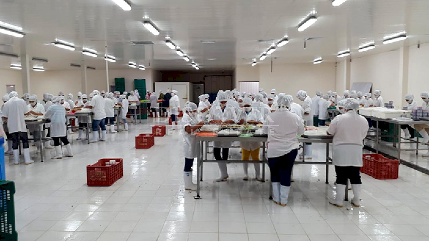 Imagen 2 de la galería