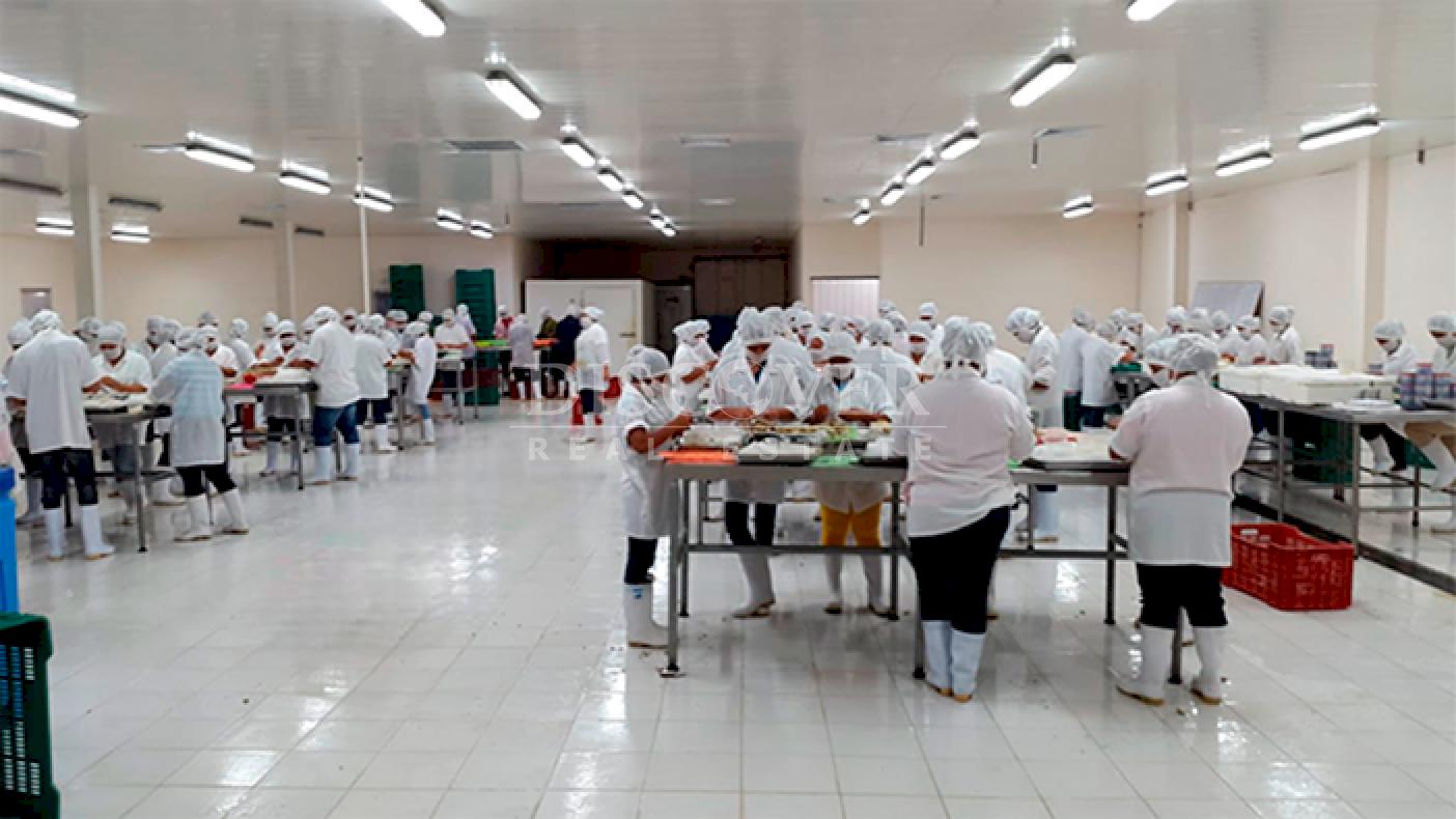 Imagen 5 de la galería