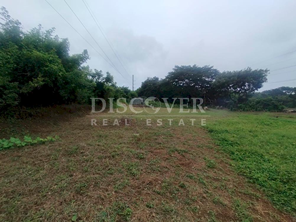  Land for rent located on the highway - Masaya