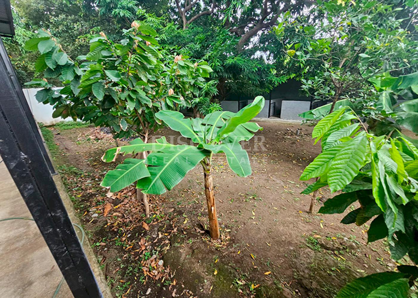  Pig farm and crops for sale on Carretera Vieja to León