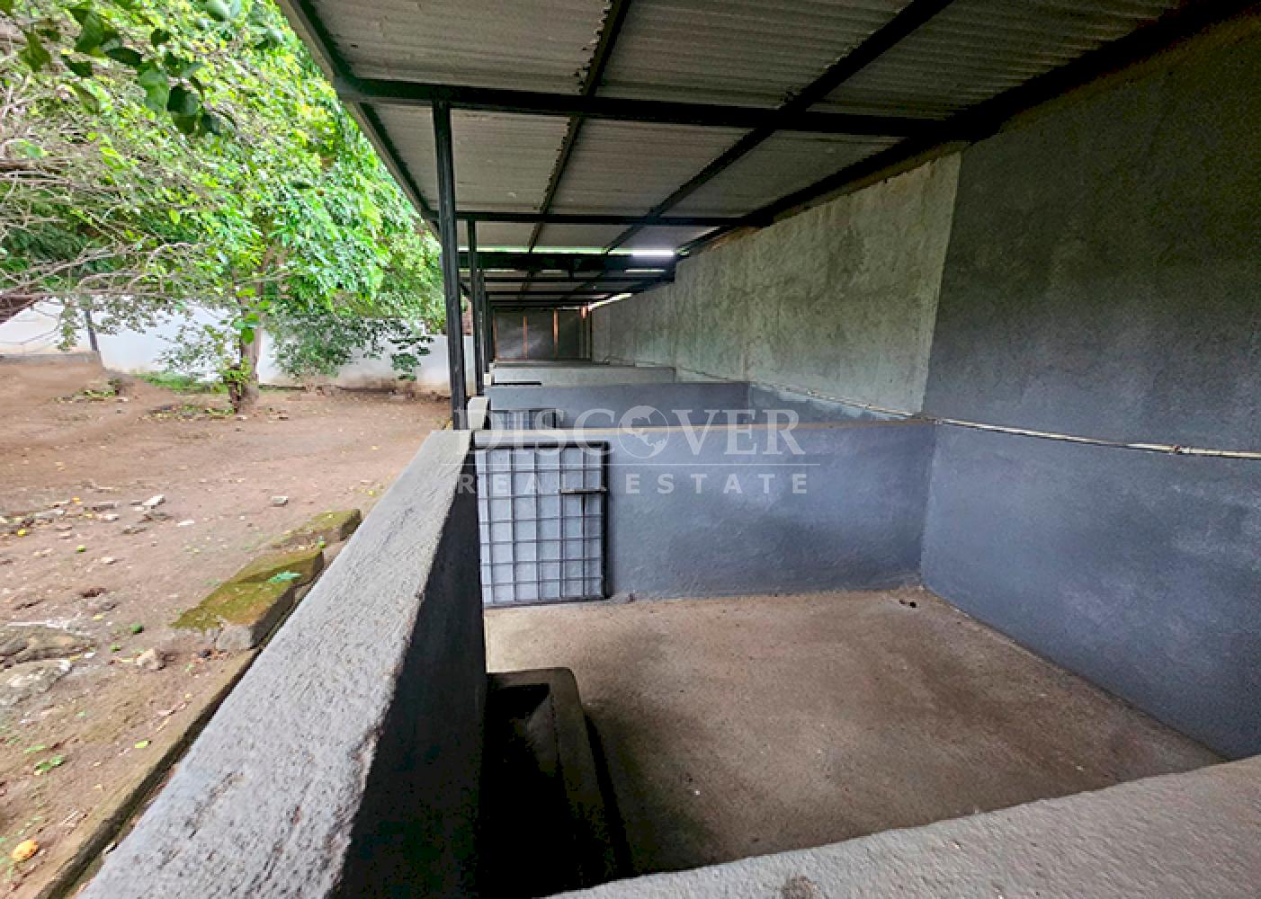  Pig farm and crops for sale on Carretera Vieja to León