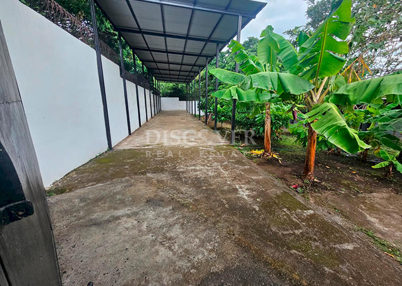  Pig farm and crops for sale on Carretera Vieja to León