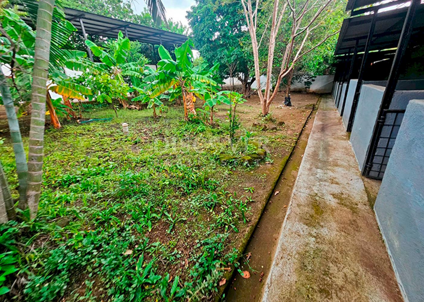  Pig farm and crops for sale on Carretera Vieja to León