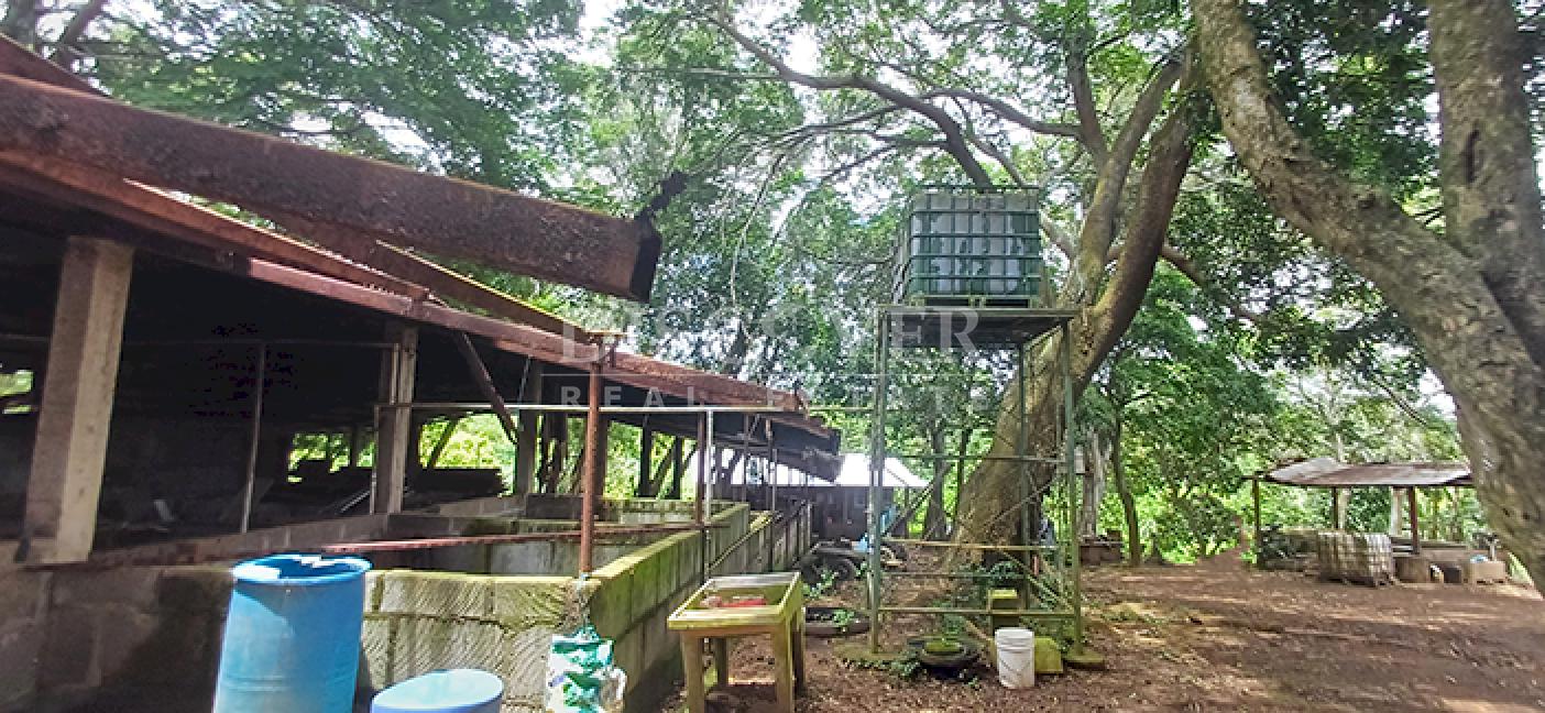 Imagen 2 de la galería