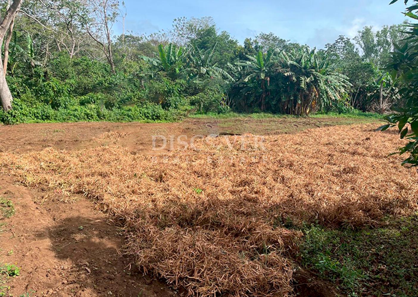  Livestock/agricultural farm for sale in Diriamba