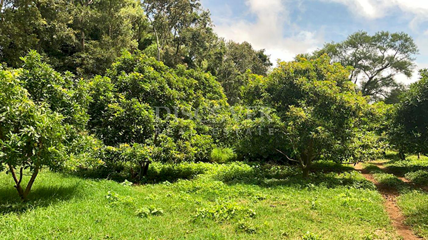  Livestock/agricultural farm for sale in Diriamba