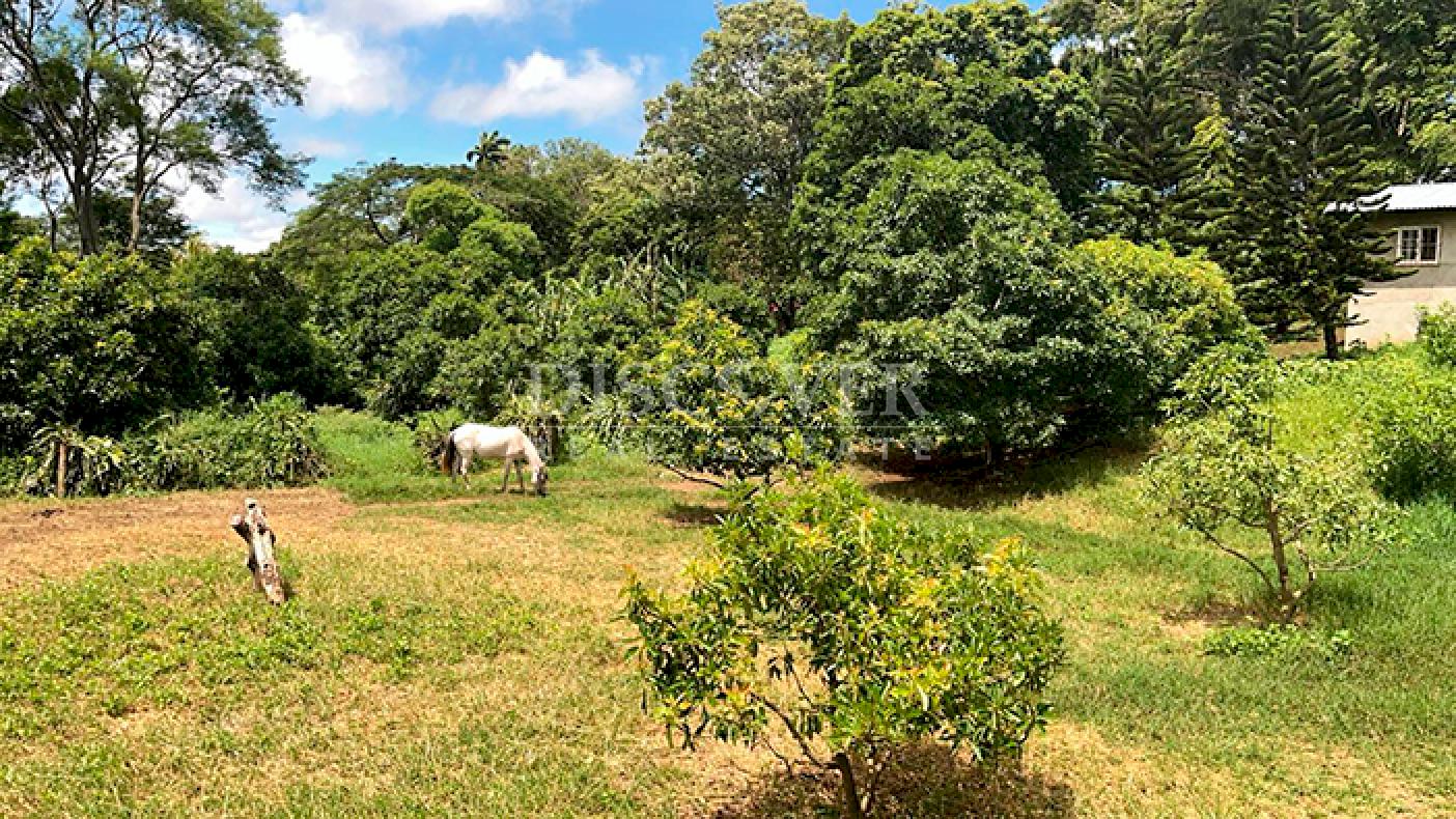  Livestock/agricultural farm for sale in Diriamba